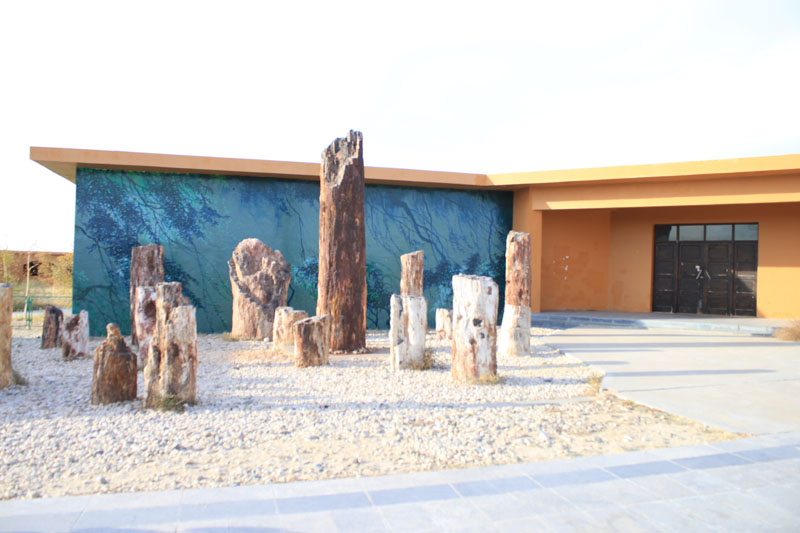 2011.9.22 369.jpg