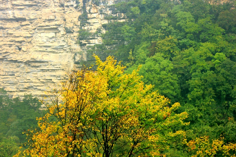 img_2869.jpg