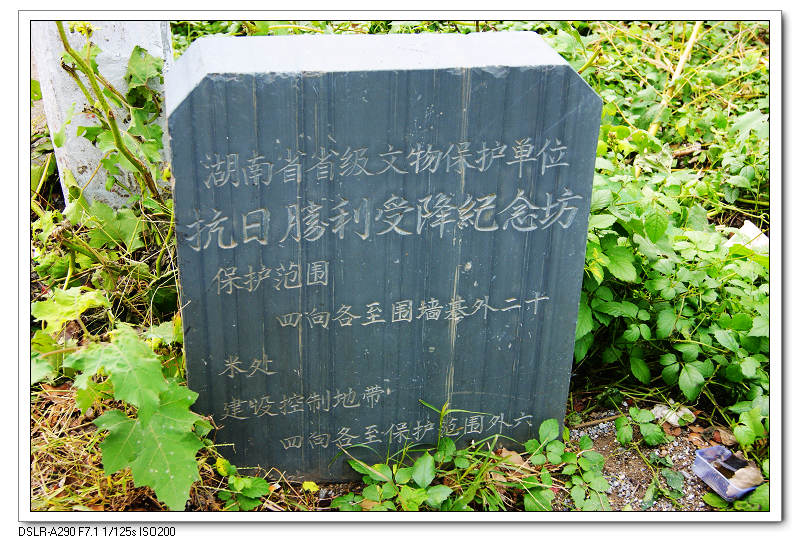 dsc00369.jpg