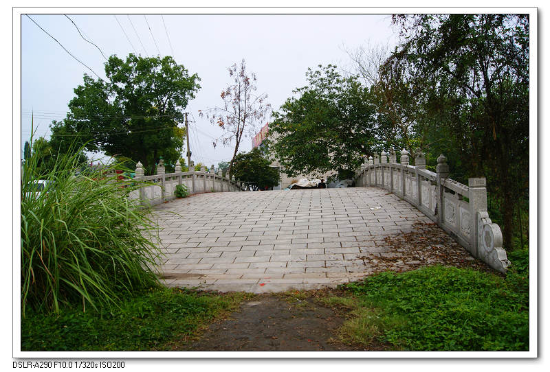 dsc00371.jpg