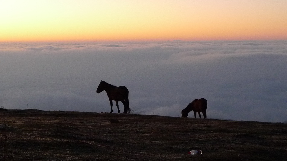 p1000472_С.jpg