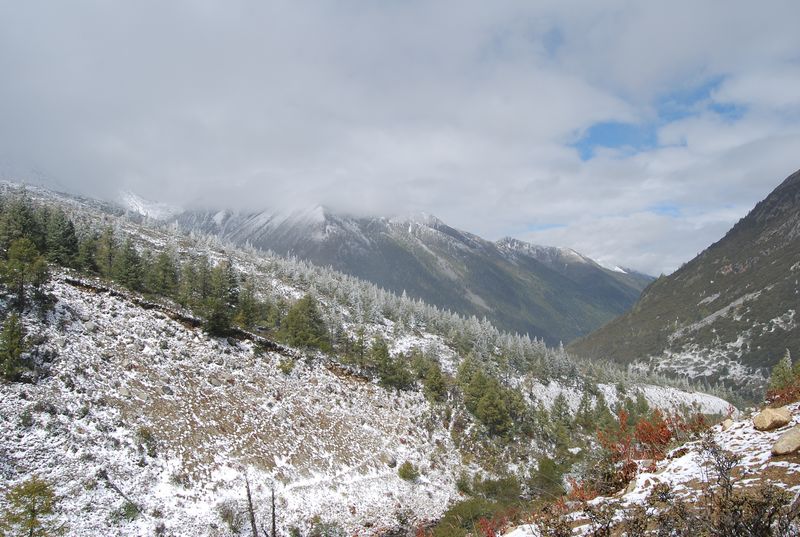 dsc_4064.jpg