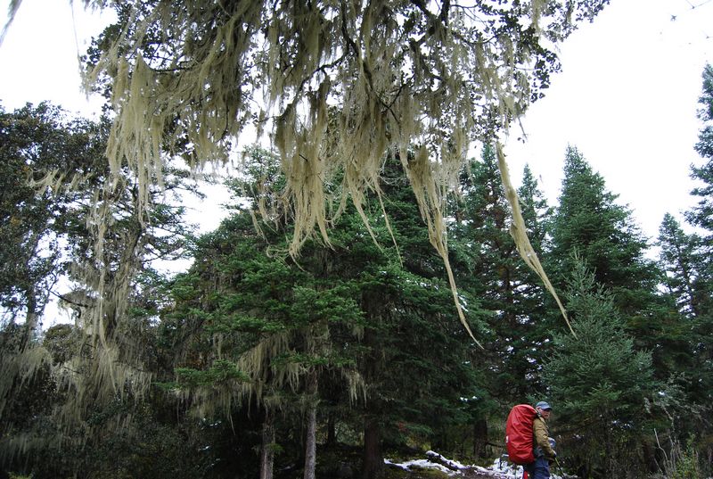 dsc_4371.jpg
