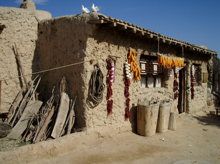 pa142695.jpg