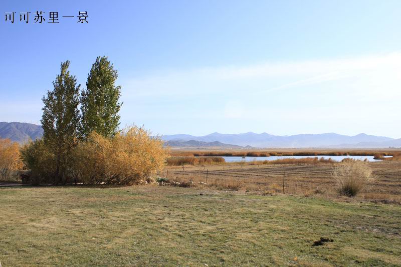 2011.9.22 422.jpg