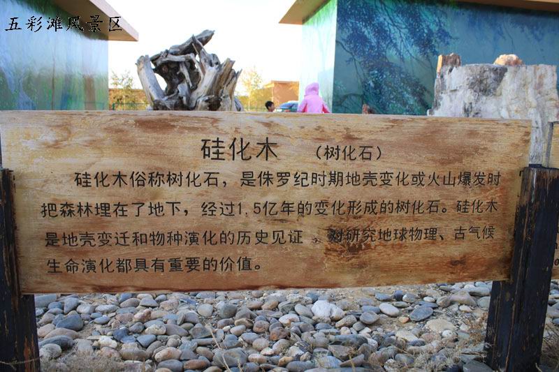 2011.9.22 406.jpg