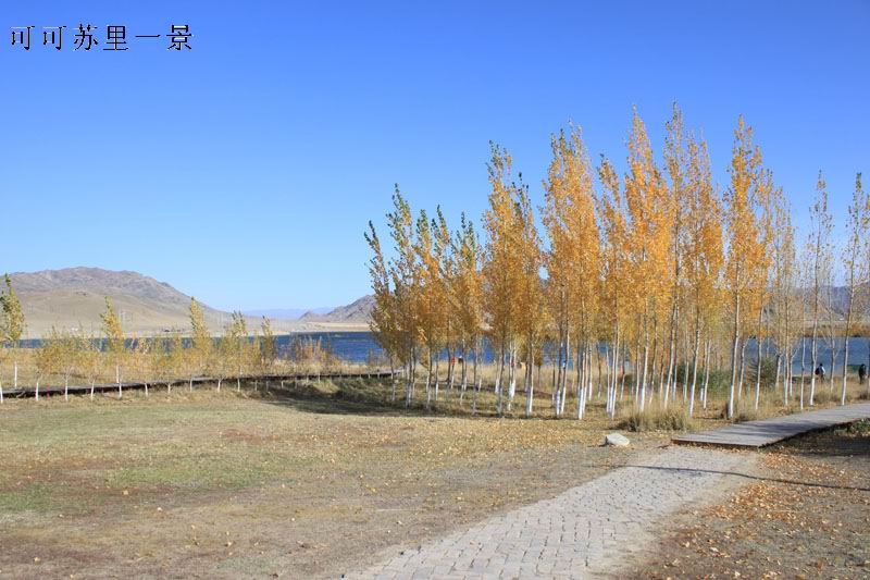 2011.9.22 423.jpg