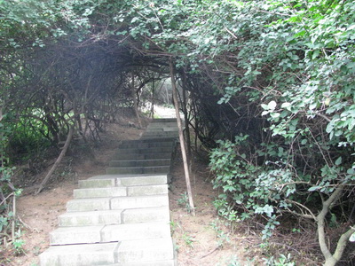 img_1716_调整大小.jpg