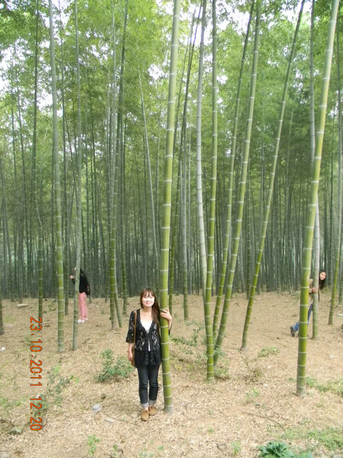 dscn9217.jpg