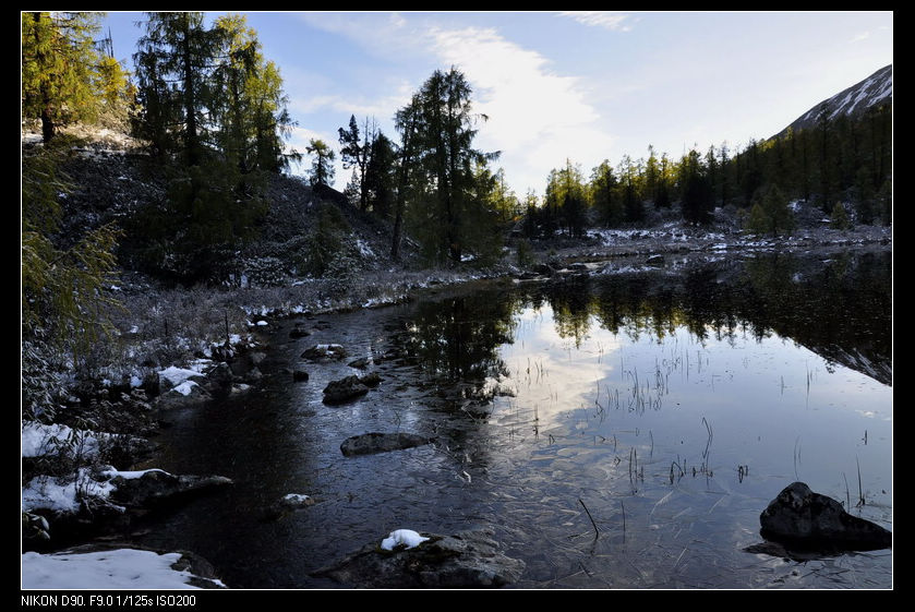 _dsc0732«ѹ_dsc0732«ѹ22.jpg