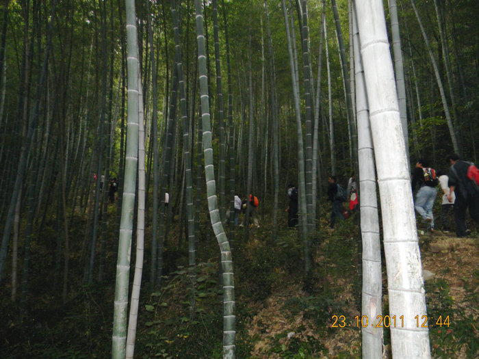 dscn9252.jpg