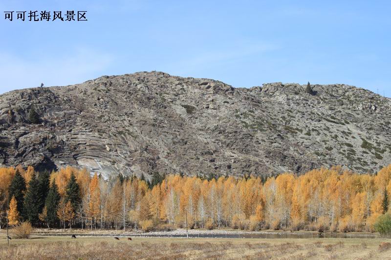 2011.9.22 431.jpg