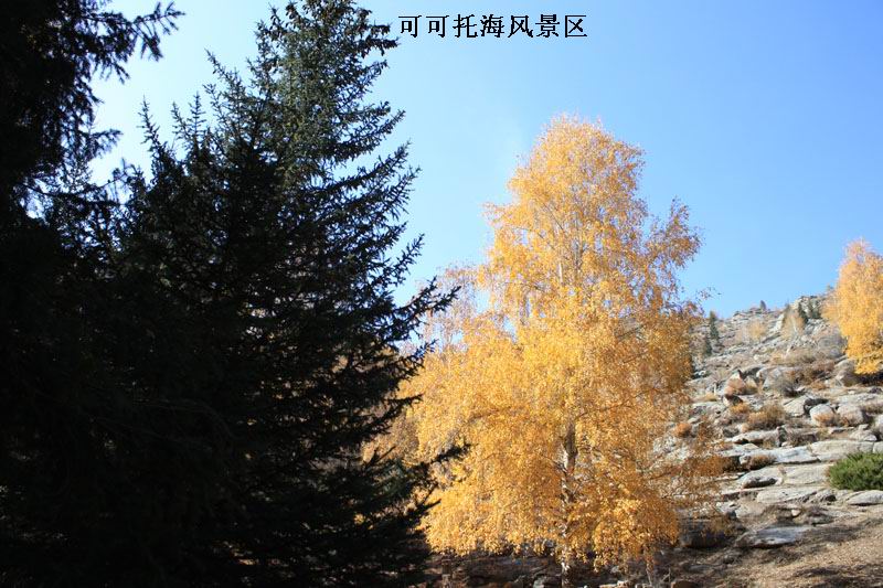 2011.9.22 444.jpg