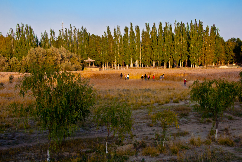 dsc_0212-1.jpg