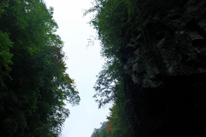 img_3015.jpg