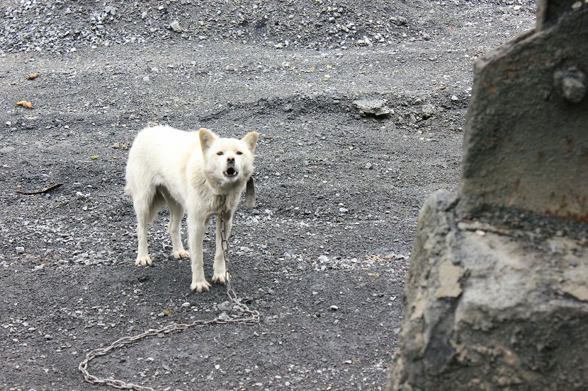 img_2983.jpg