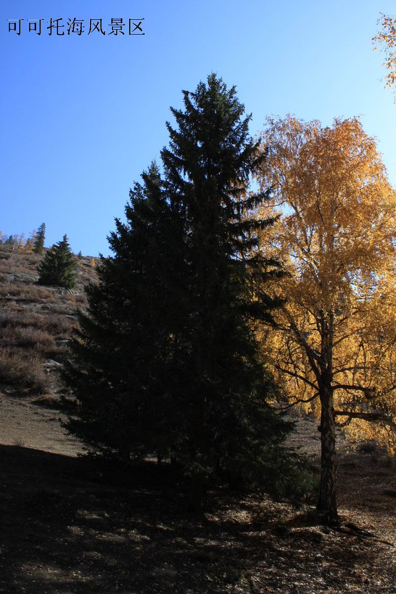 2011.9.22 446.jpg