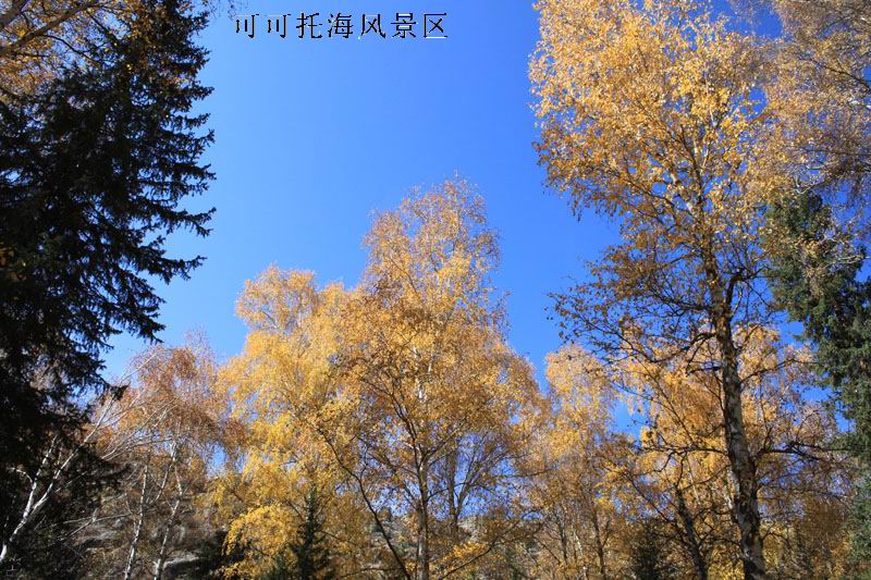 2011.9.22 448.jpg