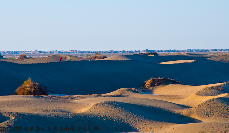 dsc_0552-1.jpg