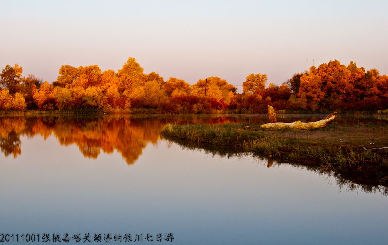 dsc_0605-1.jpg