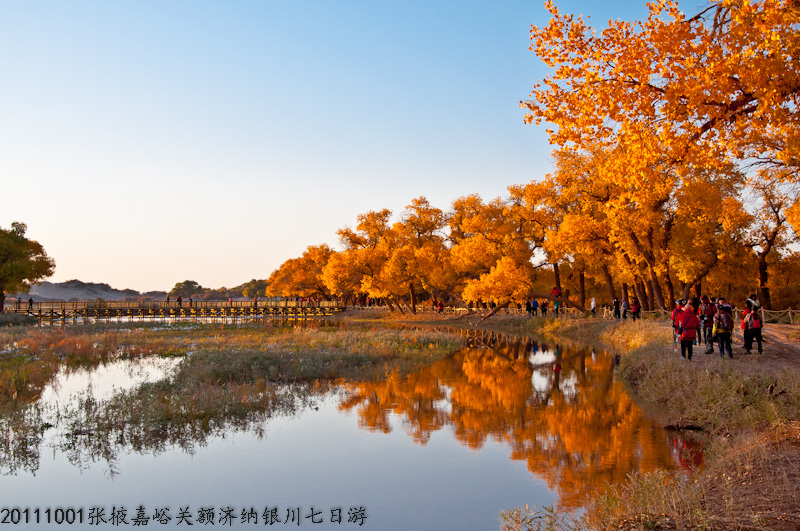 dsc_0612-1.jpg