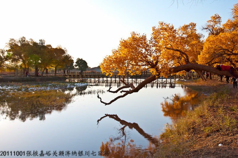 dsc_0619-1.jpg