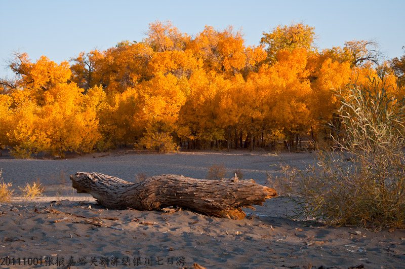 dsc_0629-1.jpg
