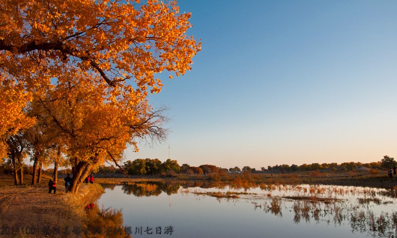 dsc_0614-1.jpg
