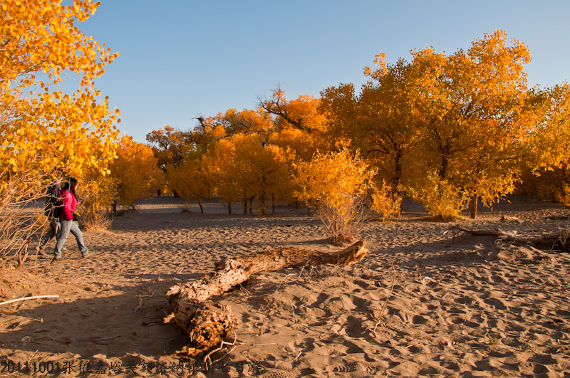 dsc_0634-1.jpg