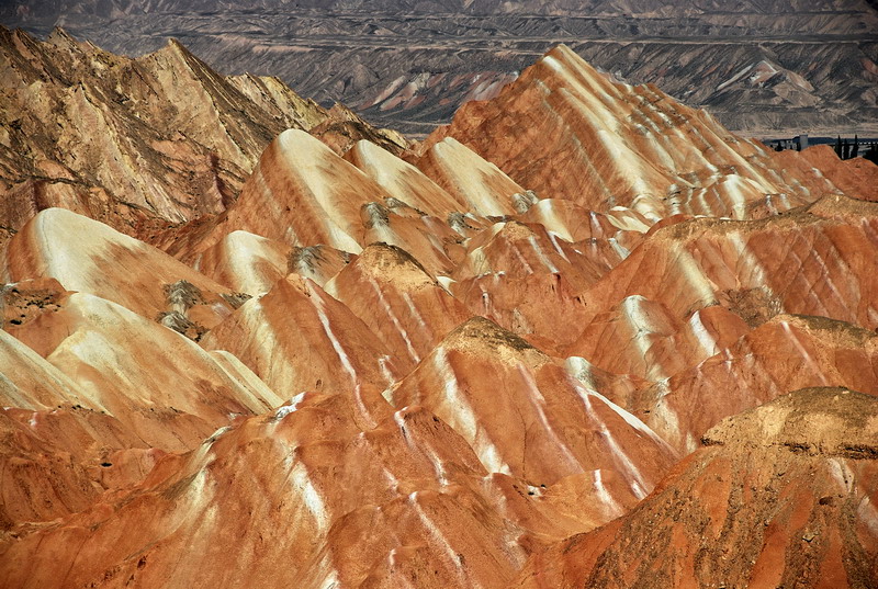 dsc_0476.jpg