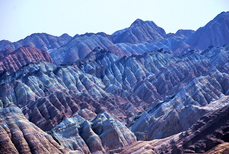 dsc_0484.jpg