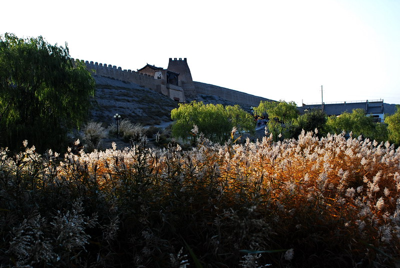 dsc_0597.jpg