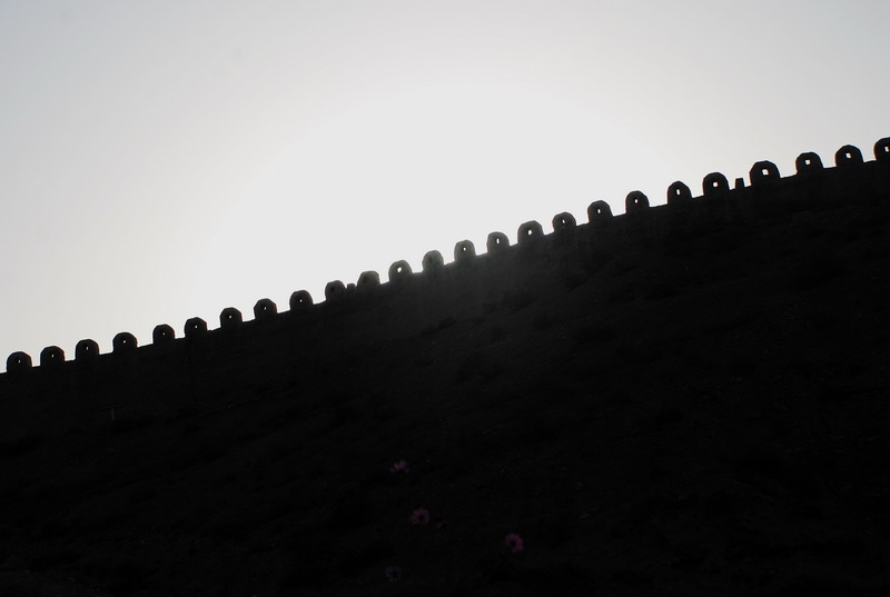 dsc_0600.jpg