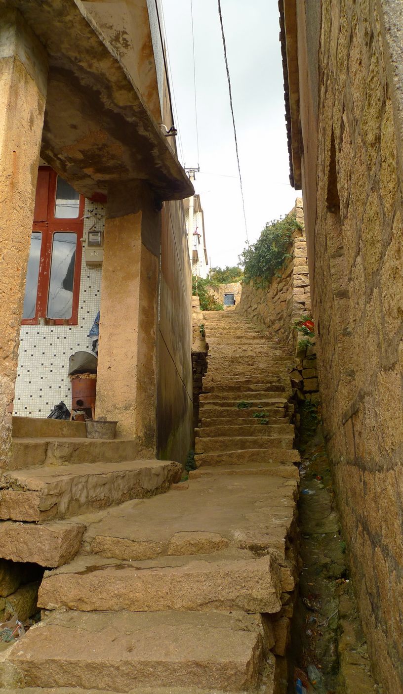 p1100740.jpg