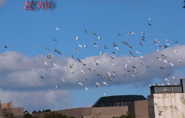 img_2267.jpg