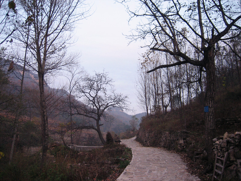 img_4078_1.jpg