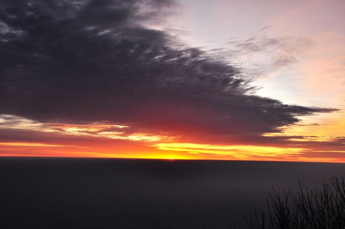 dsc_0392-1.jpg