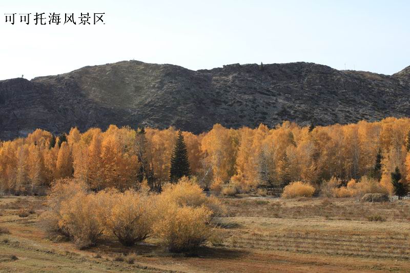 2011.9.22 479.jpg