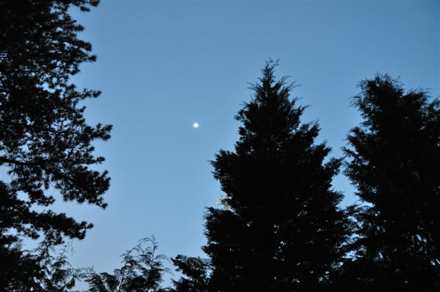 dsc_0254.jpg