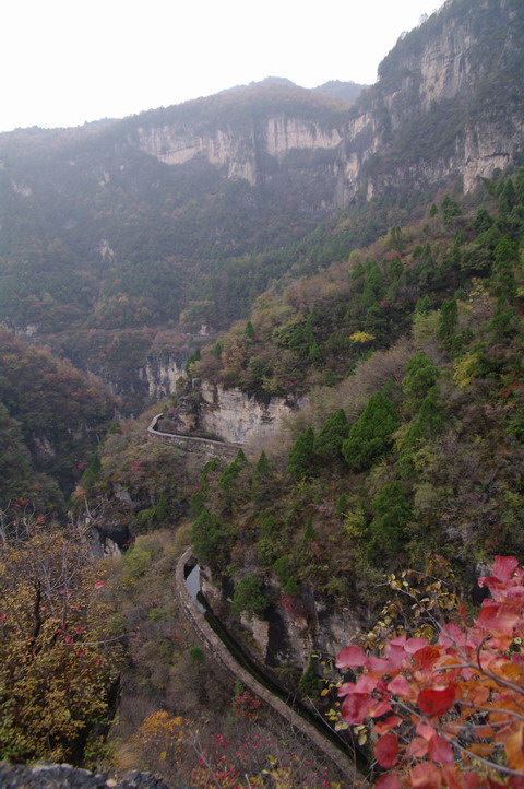 imgp3098s.jpg
