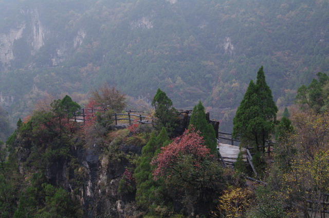 imgp3096s.jpg