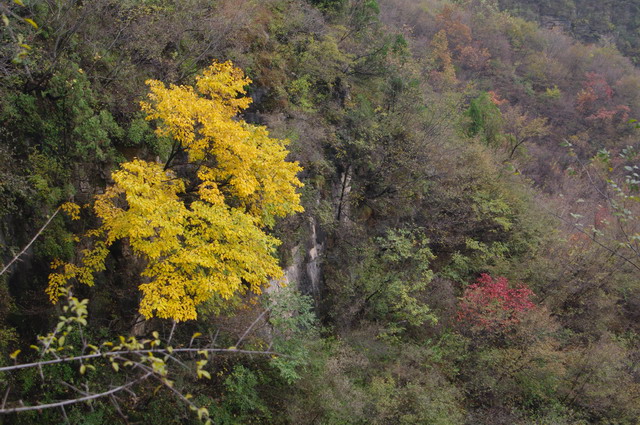 imgp3094s.jpg
