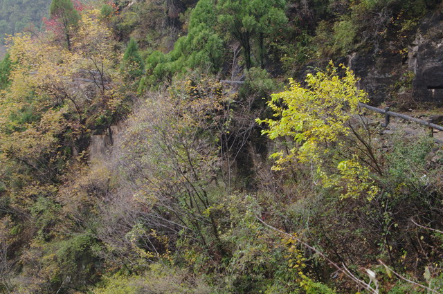 imgp3089s.jpg