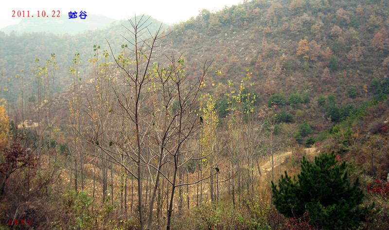 img_4137_1.jpg