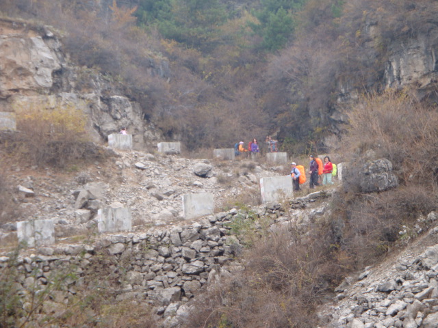 dsc05446.jpg