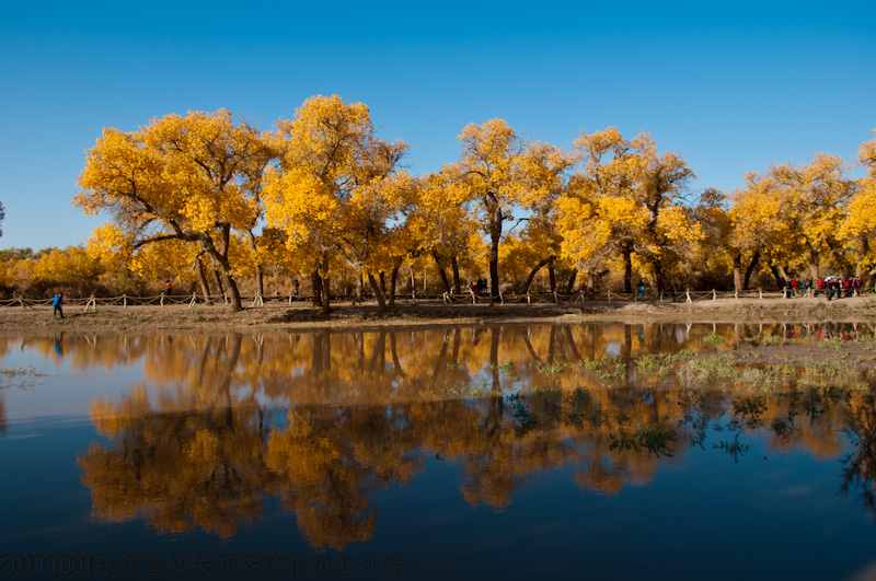 dsc_0678-1.jpg