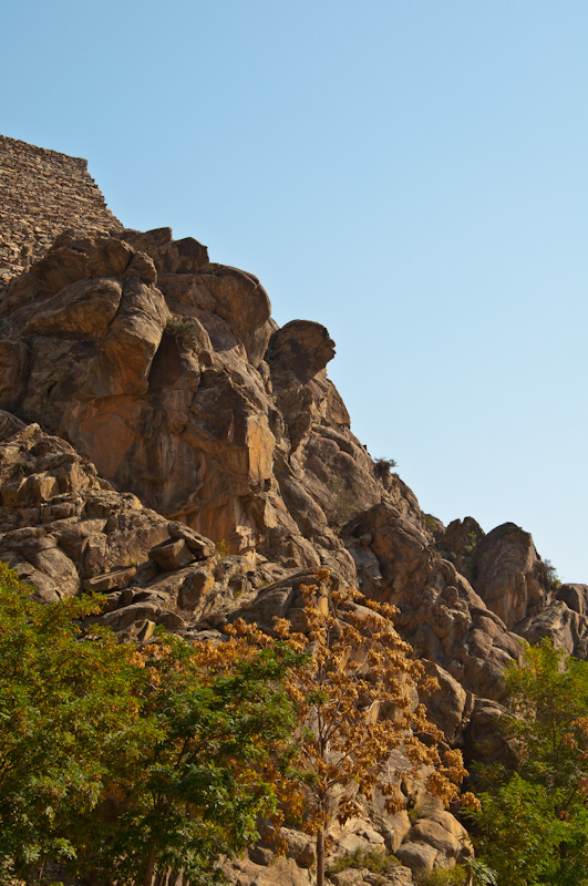 dsc_0884-1.jpg