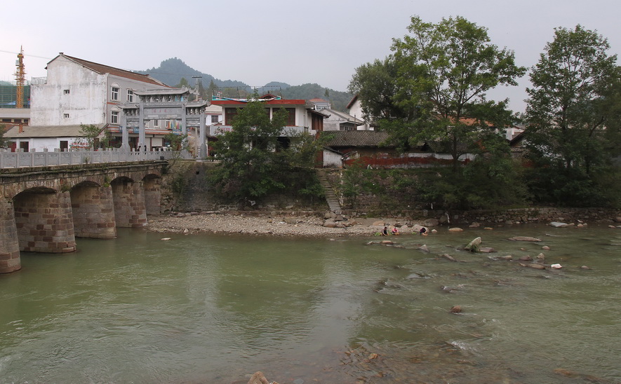 z131.jpg
