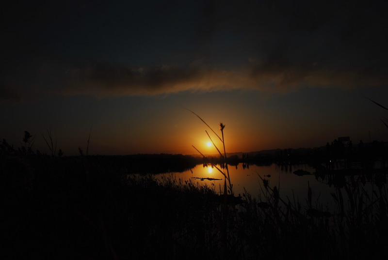 dsc_0940.jpg