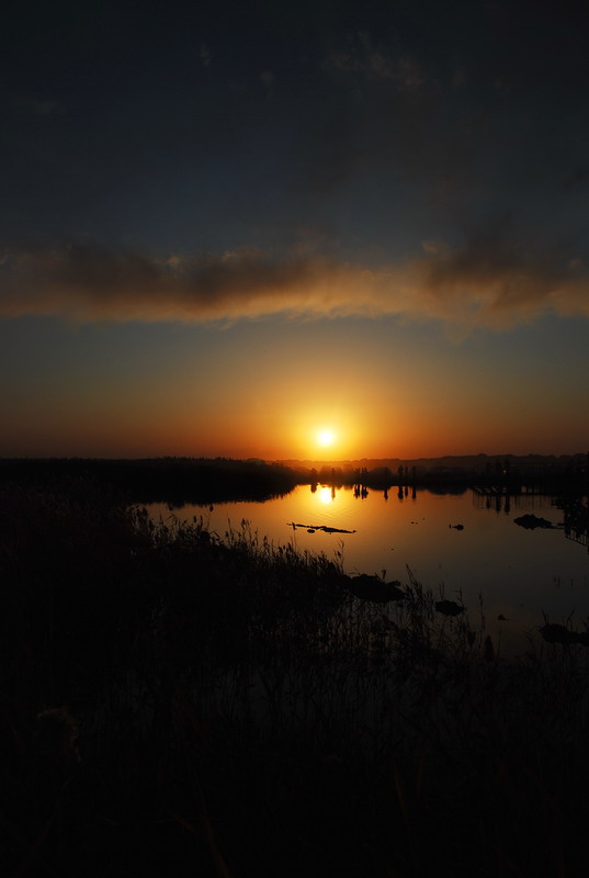 dsc_0941.jpg